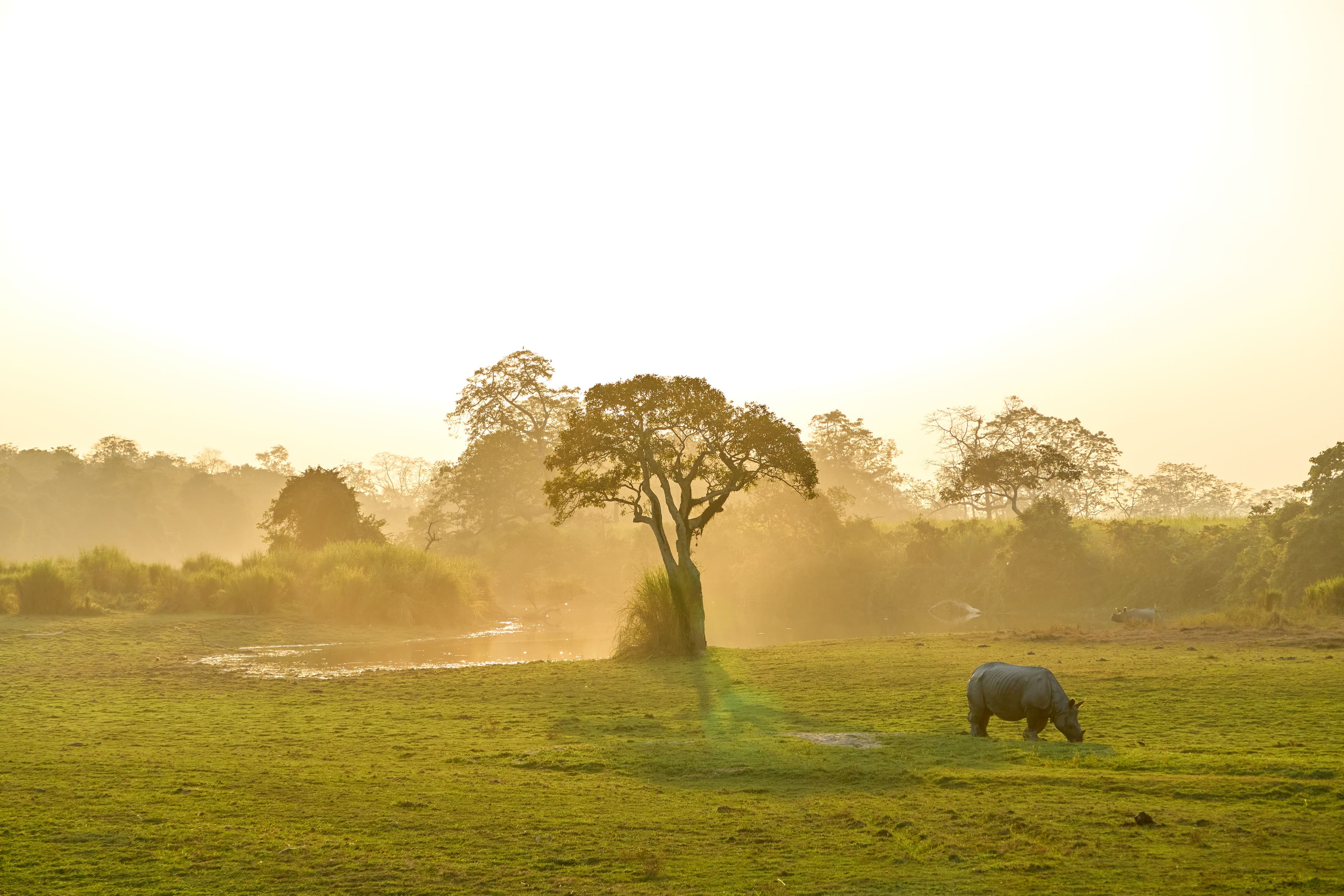 Divine View Tours Background