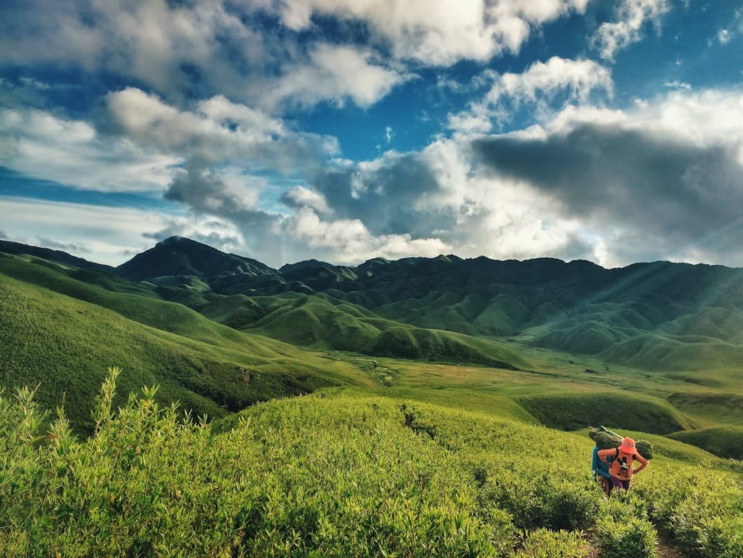 Trekkers moving through shrubs beneath dramatic clouds