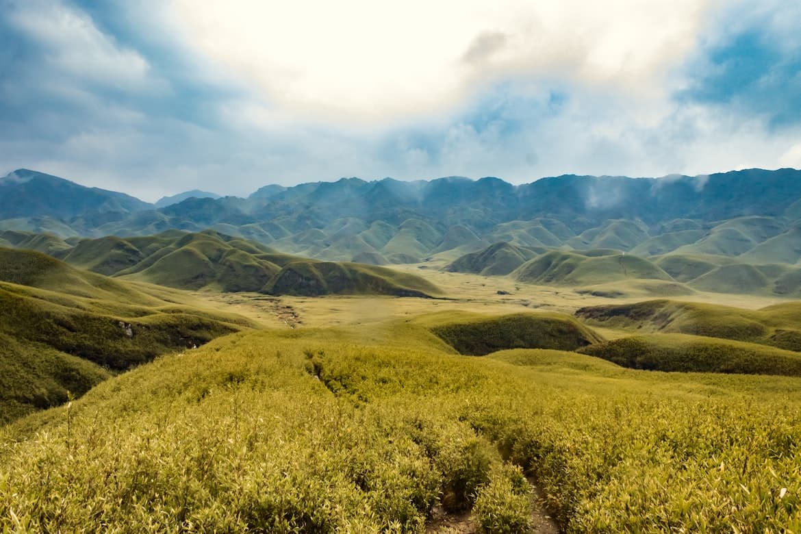 Trail across bamboo-covered hills in Dzukou Valley